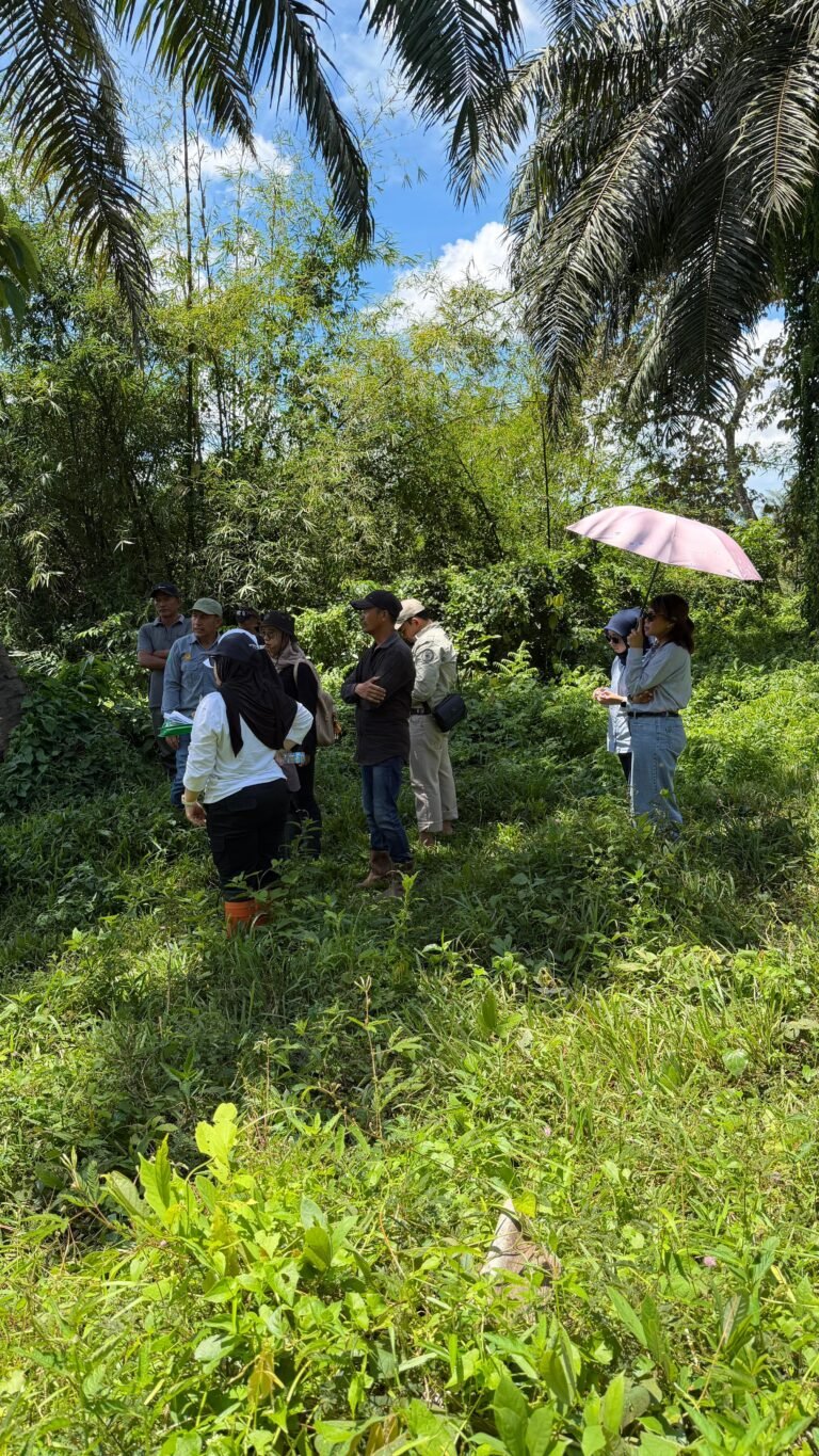 “Dari Klaim ke Dugaan PMH: Mangkirnya Tergugat Jadi Titik Lemah Sengketa Lahan PKIS”