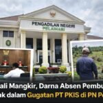 Tiga Kali Mangkir, Darna Absen Tanpa Alasan: Gugatan PT PKIS Mengarah ke Putusan Tanpa Perlawanan di PN Pelaihari