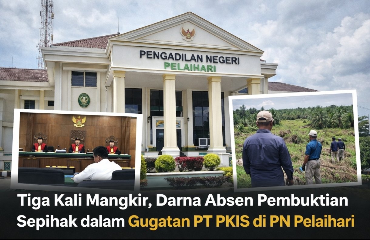 Tiga Kali Mangkir, Darna Absen Tanpa Alasan: Gugatan PT PKIS Mengarah ke Putusan Tanpa Perlawanan di PN Pelaihari